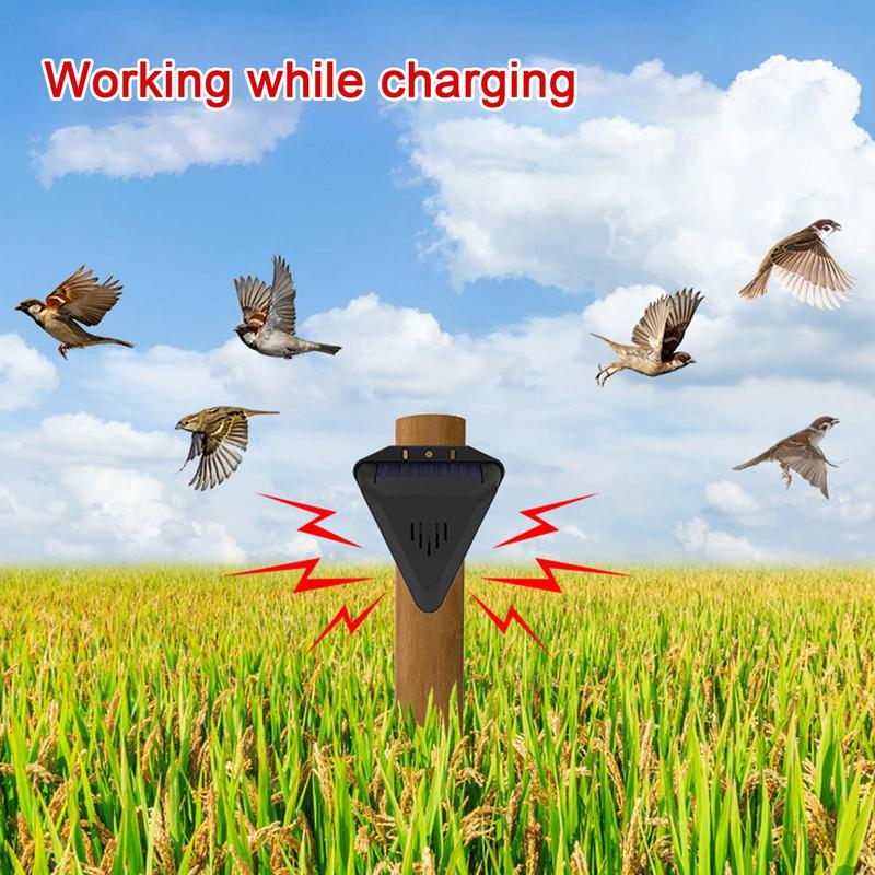 Solar-Timer, Vogelvertreiber m – Solar Bird Scarer Bewertung und Preis