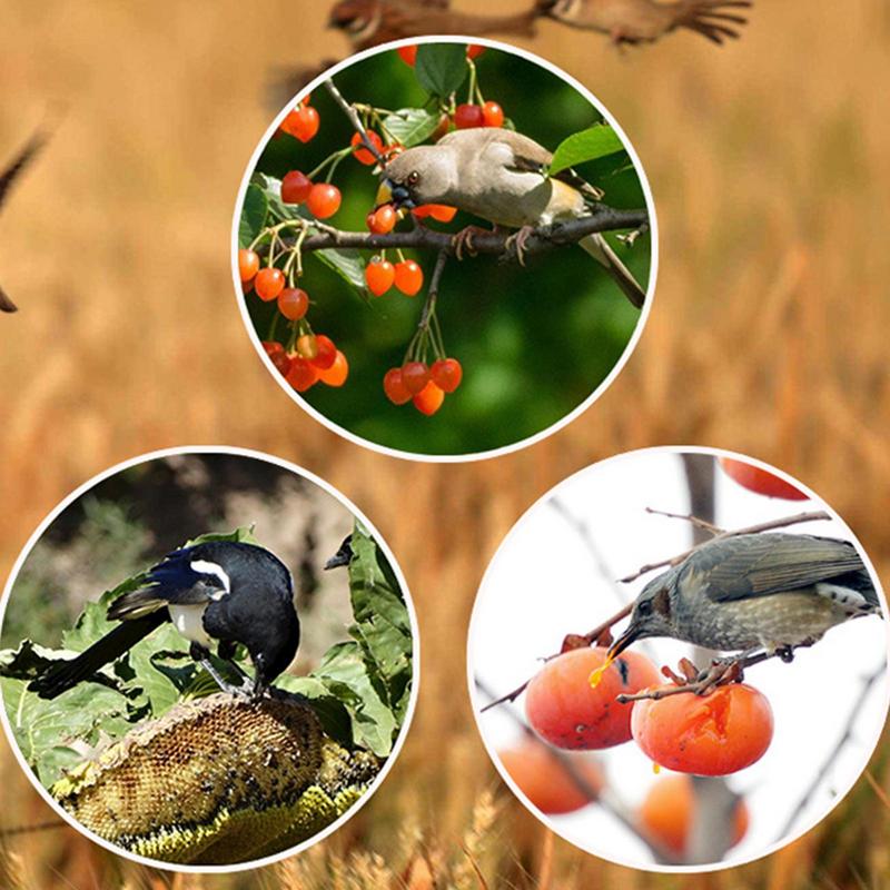 Solar-Timer, Vogelvertreiber m – Solar Bird Scarer Bewertung und Preis