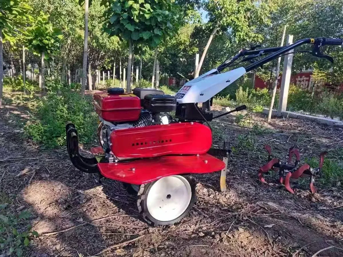 Meistverkaufter Bester Bodenfr – Organic Farming In Agriculture Bewertung und Preis