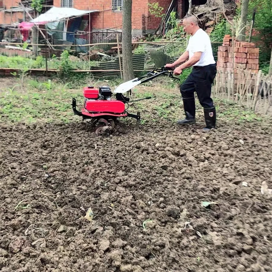 Meistverkaufter Bester Bodenfr – Organic Farming In Agriculture Bewertung und Preis