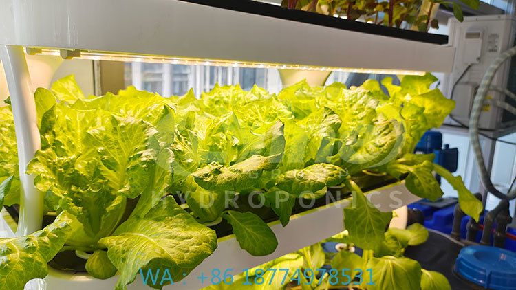 c Landwirtschaftsmaschine zum  – Farming Agriculture Machine Bewertung und Preis