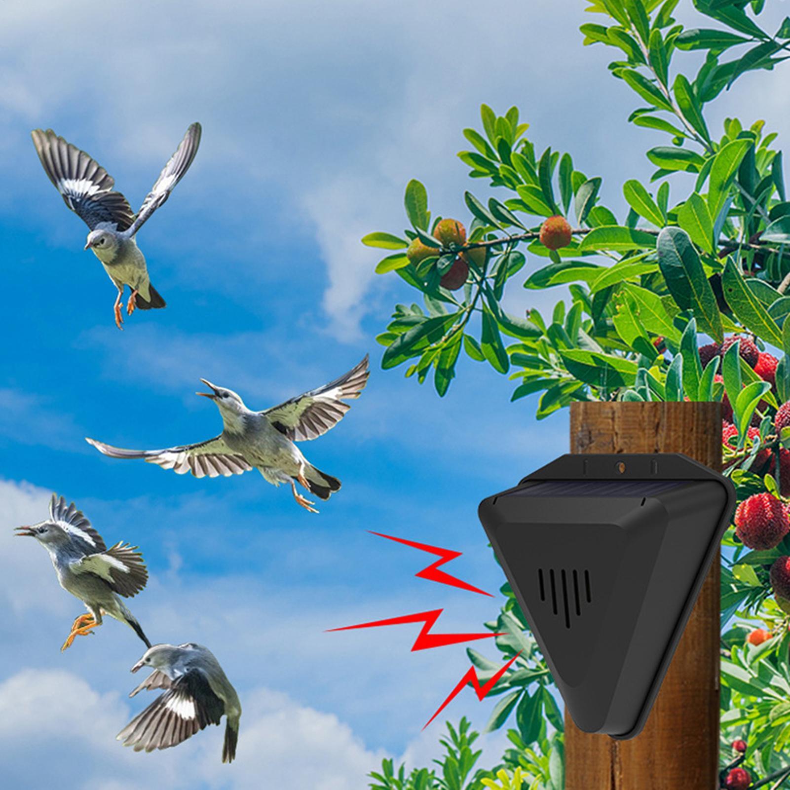 Wasserdichter Solar-Vogelvertr – Solar Bird Scarer Bewertung und Preis