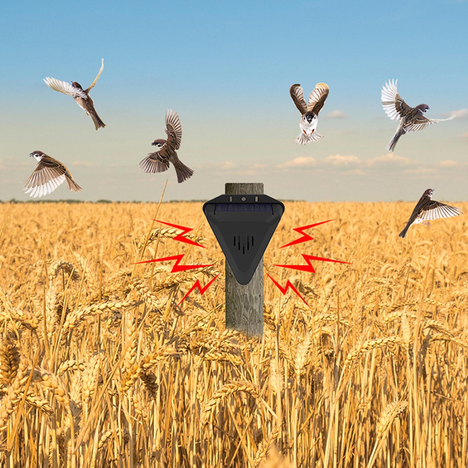 Wasserdichter Solar-Vogelvertr – Solar Bird Scarer Bewertung und Preis