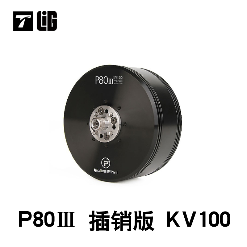 Drohnenteile P80III100KV Bürst – Drone Crop Sprayer Bewertung und Preis