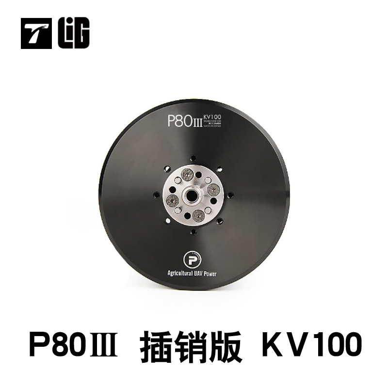 Drohnenteile P80III100KV Bürst – Drone Crop Sprayer Bewertung und Preis