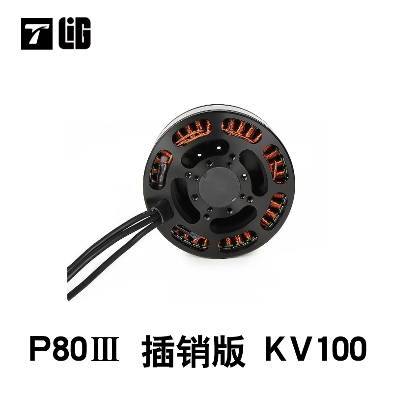 Drohnenteile P80III100KV Bürst – Drone Crop Sprayer Bewertung und Preis