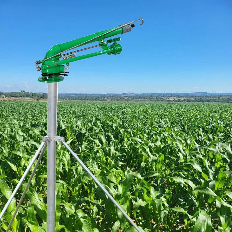 Landwirtschaftlicher Maisfarm- – Organic Farming In Agriculture Bewertung und Preis